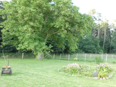 Ferienwohnung für 5 Personen (43 m²) in Demmin 3/10