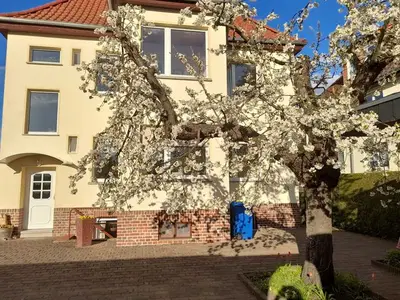 Ferienwohnung für 2 Personen (80 m²) in Dessau-Roßlau 7/10