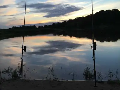 Ferienwohnung für 4 Personen (65 m²) in Dessau 6/10