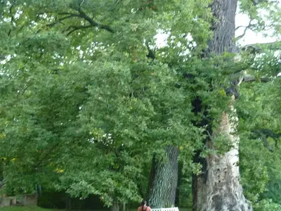 Ferienwohnung für 4 Personen (65 m²) in Dessau 8/10