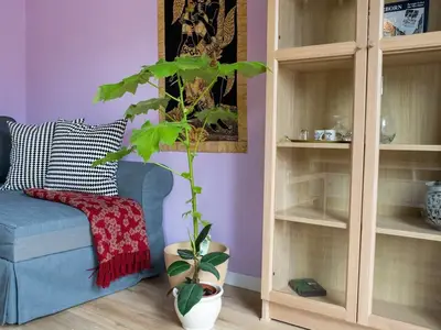 Ferienwohnung für 4 Personen (65 m²) in Detmold 3/10