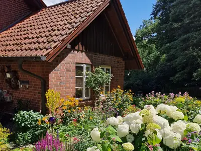 Blumenpracht zur Sommerzeit