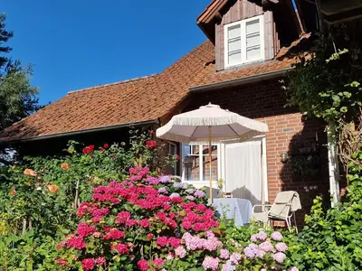 Ferienwohnung für 2 Personen (40 m²) in Detmold 10/10
