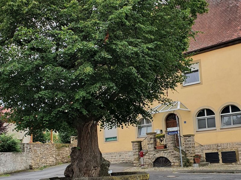 23140145-Ferienwohnung-4-Dettelbach-800x600-1