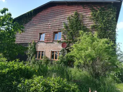 Ferienwohnung für 4 Personen (40 m²) in Dammerstorf 1/10