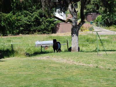 Gartenblick