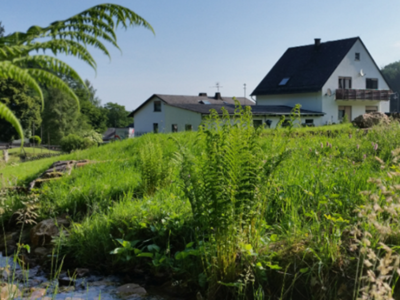 19277589-Ferienwohnung-4-Deuselbach-800x600-0