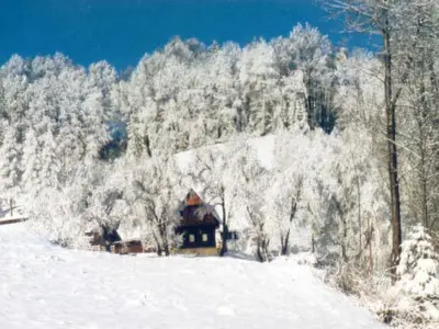 Ferienwohnung für 4 Personen (55 m²) in Deutschlandsberg 1/10