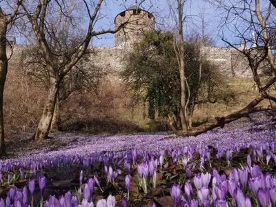 Ferienwohnung für 4 Personen (55 m²) in Deutschlandsberg 2/10