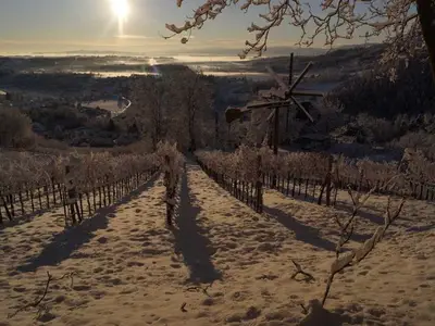 Ferienwohnung für 4 Personen (55 m²) in Deutschlandsberg 4/10