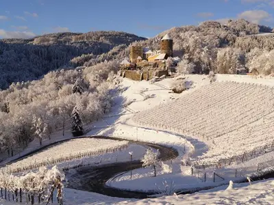 Ferienwohnung für 4 Personen (55 m²) in Deutschlandsberg 5/10