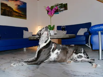 Ferienwohnung für 4 Personen (75 m²) in Diebach 7/10