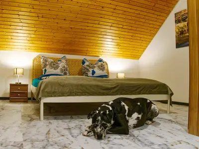 Ferienwohnung für 4 Personen (75 m²) in Diebach 8/10