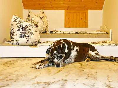 Ferienwohnung für 4 Personen (75 m²) in Diebach 10/10