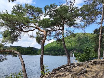 Ferienwohnung für 4 Personen (50 m²) in Diemelsee 10/10