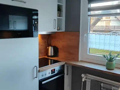 Ferienwohnung für 4 Personen (50 m²) in Diemelsee 3/10