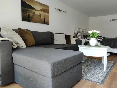 Ferienwohnung für 4 Personen (45 m²) in Diemelsee 1/10