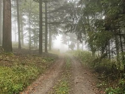 Ferienwohnung für 3 Personen (56 m²) in Diemelsee-Heringhausen 2/10