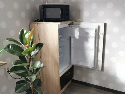 Ferienwohnung für 3 Personen (56 m²) in Diemelsee-Heringhausen 9/10