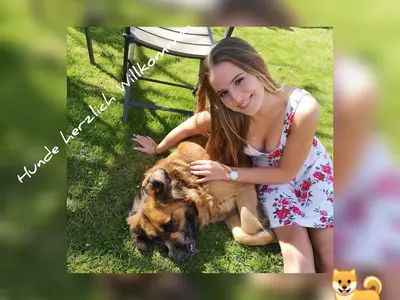 Ferienwohnung für 4 Personen (50 m²) in Diemelsee 8/10