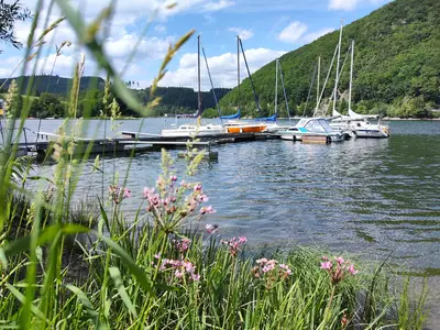Ferienwohnung für 4 Personen (50 m²) in Diemelsee 9/10