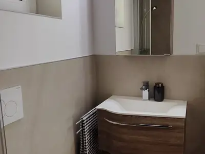 Ferienwohnung für 6 Personen (60 m²) in Diemelsee 9/10