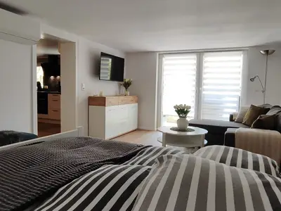 Ferienwohnung für 4 Personen (45 m²) in Diemelsee 2/10
