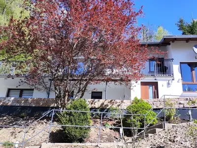 Ferienwohnung für 4 Personen (45 m²) in Diemelsee 4/10