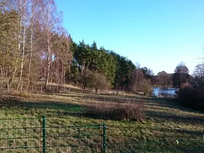 Ferienwohnung für 2 Personen (40 m²) in Diemitz 5/10