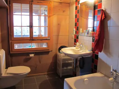 Ferienwohnung für 2 Personen (90 m²) in Diemtigen 3/10