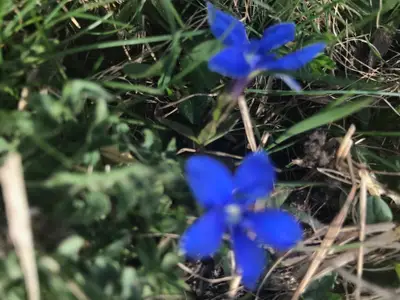 Ferienwohnung für 2 Personen (90 m²) in Diemtigen 10/10