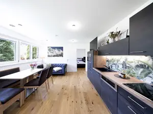 Ferienwohnung für 4 Personen (46 m²) in Dienten Am Hochkönig