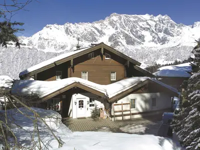 Ferienwohnung für 5 Personen (45 m²) in Dienten am Hochkönig 2/10