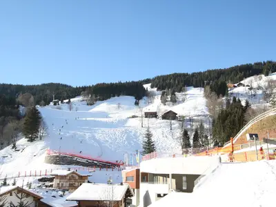 AreaWinter1KM