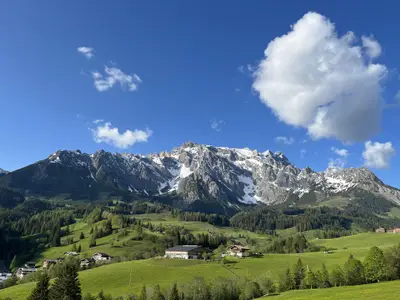IMG_1228