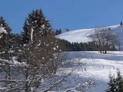 211-The Peak Winter 2019