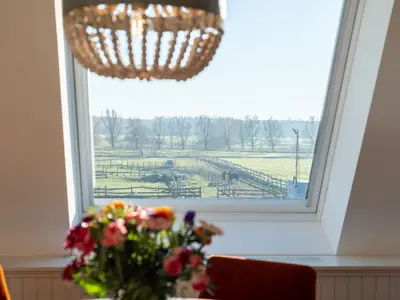 Ferienwohnung für 6 Personen (60 m²) in Dierhagen (Ostseebad) 6/10