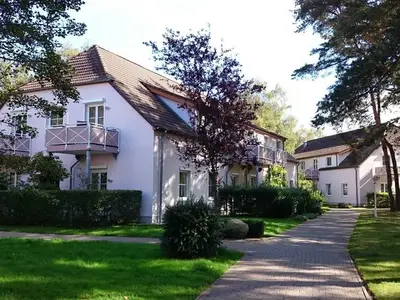 Ferienwohnung für 3 Personen (32 m²) in Dierhagen (Ostseebad) 3/10