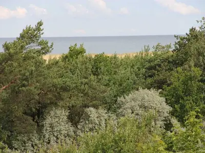 Ferienwohnung für 3 Personen (55 m²) in Dierhagen (Ostseebad) 8/10