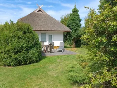 Ferienwohnung für 4 Personen (50 m²) in Dierhagen (Ostseebad) 1/10