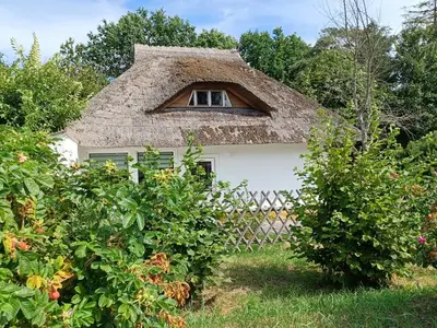 Ferienwohnung für 4 Personen (50 m²) in Dierhagen (Ostseebad) 2/10
