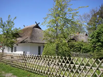 Ferienwohnung für 4 Personen (50 m²) in Dierhagen (Ostseebad) 3/10