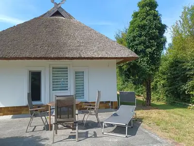 Ferienwohnung für 4 Personen (50 m²) in Dierhagen (Ostseebad) 4/10