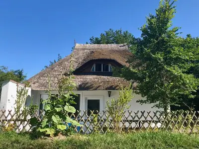 Ferienwohnung für 4 Personen (50 m²) in Dierhagen (Ostseebad) 5/10
