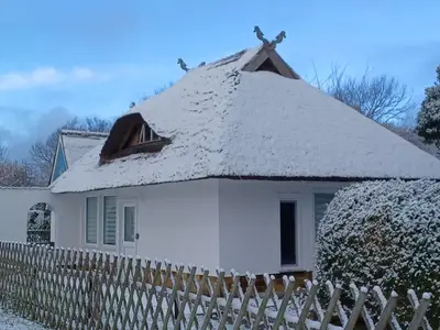 Ferienwohnung für 4 Personen (50 m²) in Dierhagen (Ostseebad) 9/10
