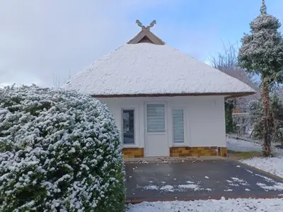 Ferienwohnung für 4 Personen (50 m²) in Dierhagen (Ostseebad) 4/10