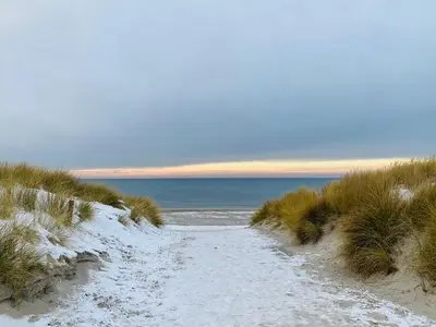 Ferienwohnung für 4 Personen (48 m²) in Dierhagen Strand 5/10