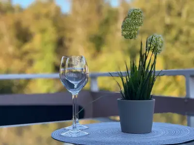 Ferienwohnung für 2 Personen (30 m²) in Dierhagen (Ostseebad) 8/10