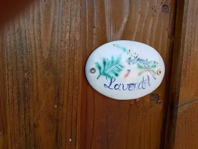 Ferienwohnung für 5 Personen (42 m²) in Dierhagen Dorf 3/10