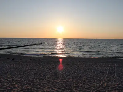 Ferienwohnung für 4 Personen (90 m²) in Dierhagen (Ostseebad) 3/10